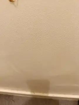  Gabriela 5Live online show from 11-10-25, 05:12