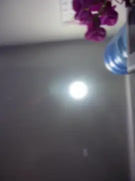 Nick Juniorr online show from 10-24-25, 09:28