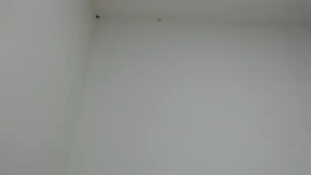 drako monster online show from 01-17-26, 10:46