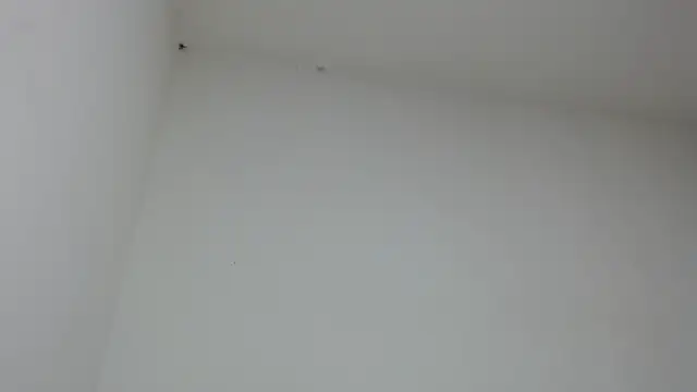 drako monster online show from 01-31-26, 09:46