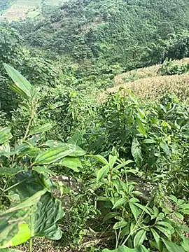 Snapshot of hi-hi-zz chatting on 11-14-25, 05:50 hi-hi-zz online show from 11-14-25, 05:50