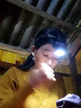 Snapshot of gio-thu chatting on 11-08-25, 04:23 gio-thu online show from 11-08-25, 04:23