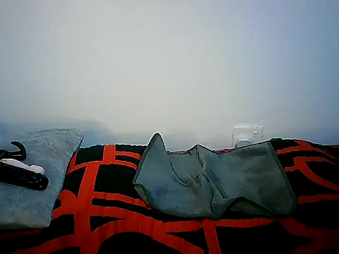 Snapshot of Ntokozo290 chatting on 11-11-25, 07:03 Ntokozo290 online show from 11-11-25, 07:03