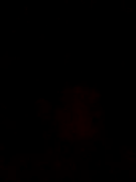 sants13 online show from 10-31-25, 09:49