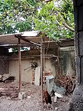 blackhot30 online show from 12-01-25, 06:57