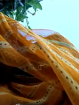 Cutsedi3 online show from 10-18-25, 11:33