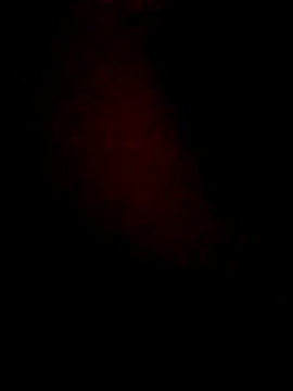 lorina202 online show from 11-18-25, 11:59