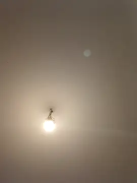 labellerose online show from 04-28-26, 05:07