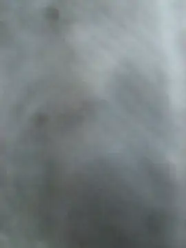 Snapshot of Hottypriya69 chatting on 11-02-25, 02:41 Hottypriya69 online show from 11-02-25, 02:41