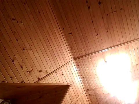 tibci12789 online show from 12-05-25, 07:54