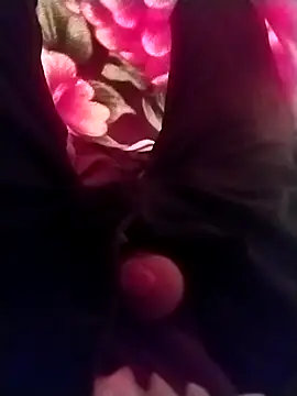 Playboyx143xh online show from 11-17-25, 10:32