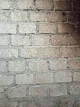 siusiu-00 online show from 04-24-26, 09:50