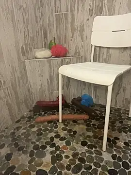 Snapshot of queenkelly1234 chatting on 11-03-25, 08:54 queenkelly1234 online show from 11-03-25, 08:54