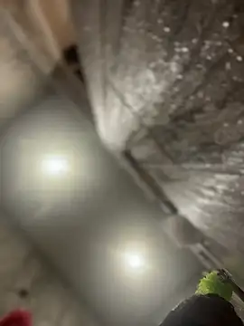 queenkelly1234 online show from 02-16-26, 12:56