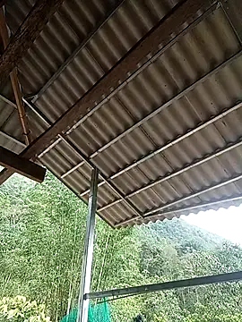 -Kem-01 online show from 04-27-26, 10:35