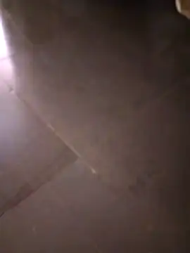 svk 05 online show from 10-14-25, 11:22