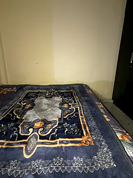 Snapshot of payal_mittal chatting on 11-29-25, 09:07 payal mittal online show from 11-29-25, 09:07