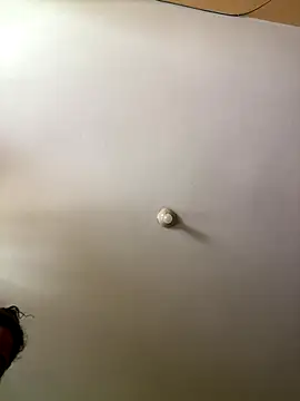 Techi0525 online show from 12-16-25, 05:18