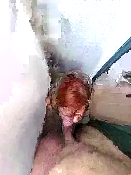 PorcelainDoll1 online show from 01-14-26, 11:38