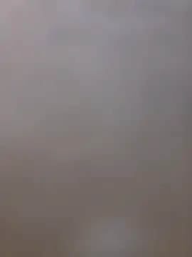 shainnfk online show from 03-05-26, 12:06