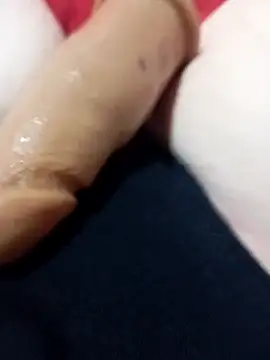 Taradinha pelosogro online show from 03-10-26, 10:37