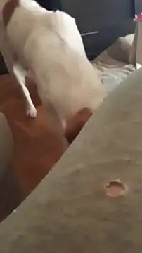 goloso80 online show from 10-22-25, 01:11