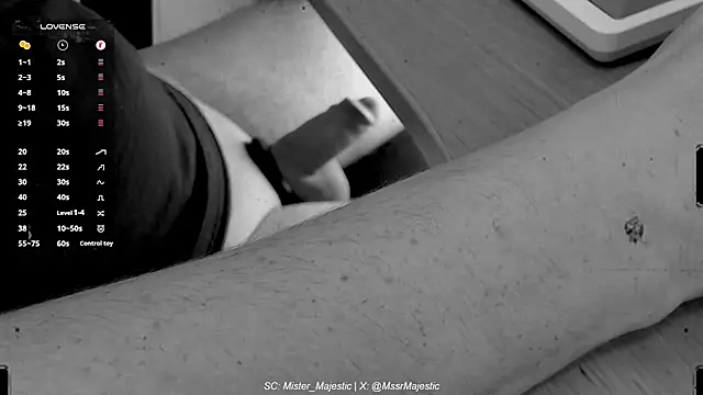 Mister Majestic online show from 12-02-25, 02:23