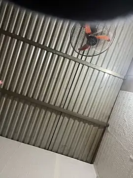 tabby-cat11 online show from 02-03-26, 08:30