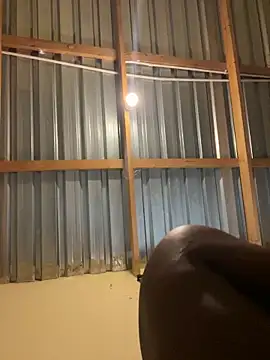 solodrive online show from 02-24-26, 10:13