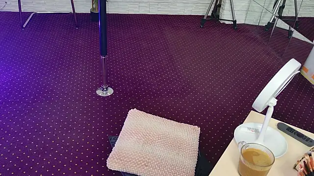 Snapshot of IvorySwan chatting on 11-04-25, 05:28 IvorySwan online show from 11-04-25, 05:28