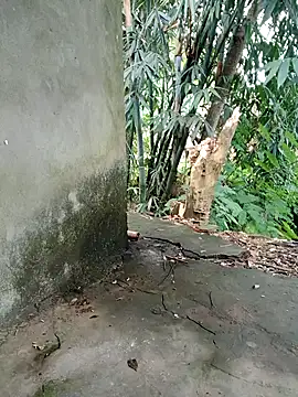 Bear bear0 online show from 11-08-25, 01:50