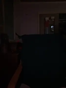 Snapshot of Macduckd chatting on 02-13-26, 06:53 Macduckd online show from 02-13-26, 06:53