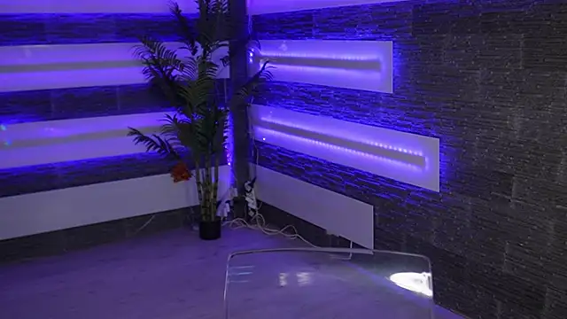 SexyCelline online show from 12-23-25, 05:16