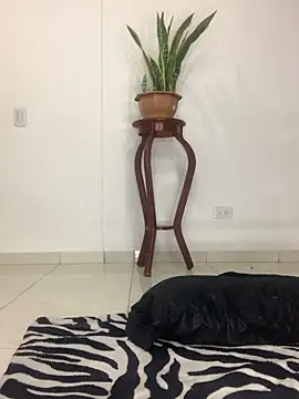 Snapshot of MARIANAGATE chatting on 11-12-25, 03:40 MARIANAGATE online show from 11-12-25, 03:40