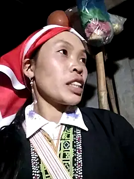 dinnavi online show from 11-05-25, 01:22