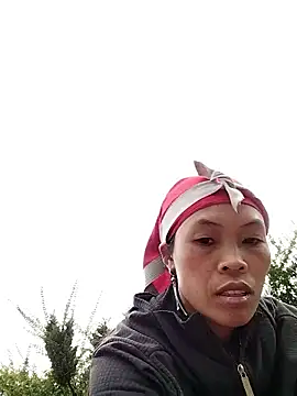 dinnavi online show from 11-20-25, 01:17