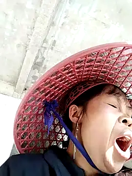 dinnavi online show from 11-24-25, 02:44