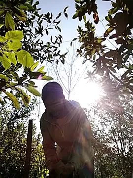 dinnavi online show from 11-25-25, 01:49