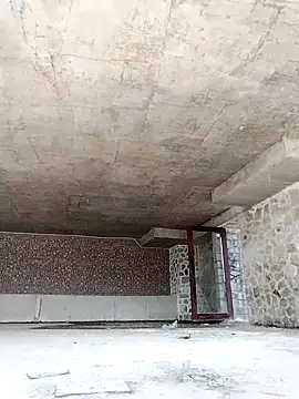 dinnavi online show from 11-26-25, 04:35