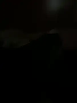 PassionCoupleLove online show from 10-26-25, 01:06