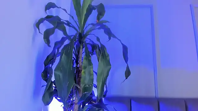 Snapshot of andreanix chatting on 05-24-26, 06:24 andreanix online show from 05-24-26, 06:24