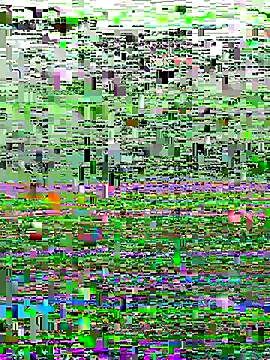 Snapshot of perfectguy4u chatting on 10-28-25, 08:55 perfectguy4u online show from 10-28-25, 08:55