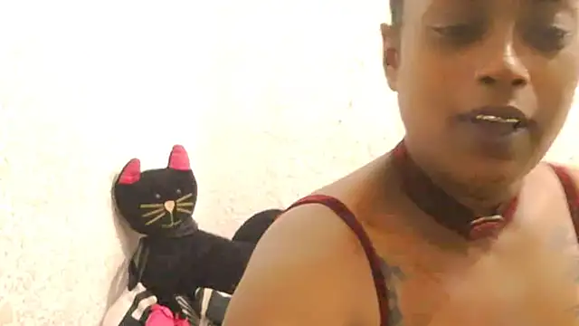 DOVE85 online show from 12-15-25, 11:47