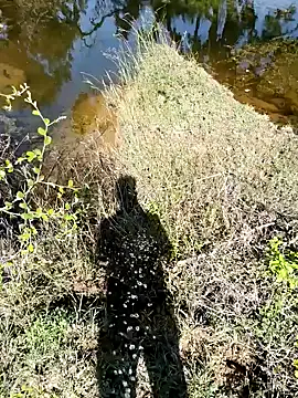 Snapshot of devil_boy_0909 chatting on 11-07-25, 05:29 devil boy 0909 online show from 11-07-25, 05:29