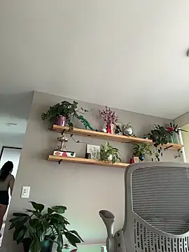 SugarTroubl33 online show from 11-15-25, 01:40