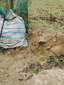 doggy-00 online show from 04-16-26, 11:40