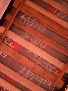 damian fort1 online show from 11-17-25, 04:24