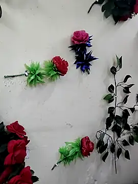 Indian-Glory online show from 12-13-25, 07:53