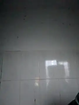 bella-la online show from 02-05-26, 12:04