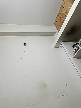 bigtelugubhama online show from 12-14-25, 11:53